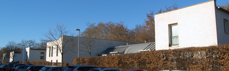 Die Reitzensteiner